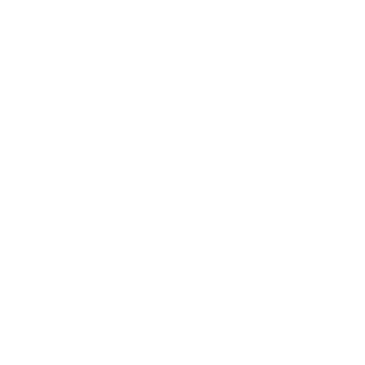 bangali network logo invert 2026